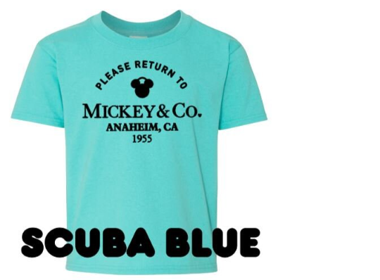 Return to Mickey and Co., Anaheim, CA Unisex Shirt/Mickey and co., Disneyland/ Matching Shirt